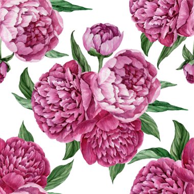 Zarif ve nazik sorunsuz çiçek desenli çiçek açan peonies beyaz zemin üzerine suluboya el boyaması tasarım izole ile.