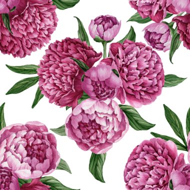 Zarif ve nazik sorunsuz çiçek desenli çiçek açan peonies beyaz zemin üzerine suluboya el boyaması tasarım izole ile.