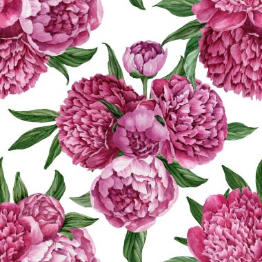 Zarif ve nazik sorunsuz çiçek desenli çiçek açan peonies beyaz zemin üzerine suluboya el boyaması tasarım izole ile.