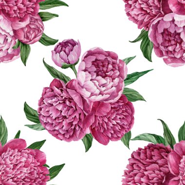 Zarif ve nazik sorunsuz çiçek desenli çiçek açan peonies beyaz zemin üzerine suluboya el boyaması tasarım izole ile.