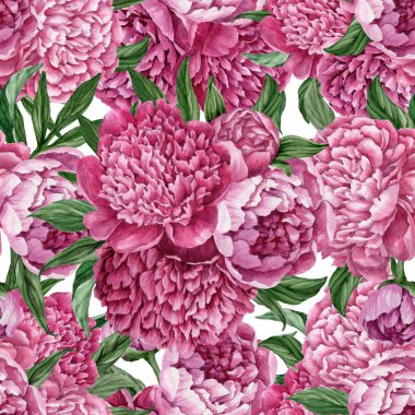 Zarif ve nazik sorunsuz çiçek desenli çiçek açan peonies beyaz zemin üzerine suluboya el boyaması tasarım izole ile.