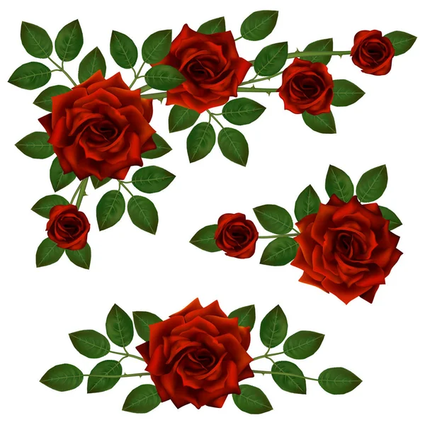 Ensemble Beaux Bouquets Avec Des Roses Rouges Des Feuilles Arrangement — Image vectorielle