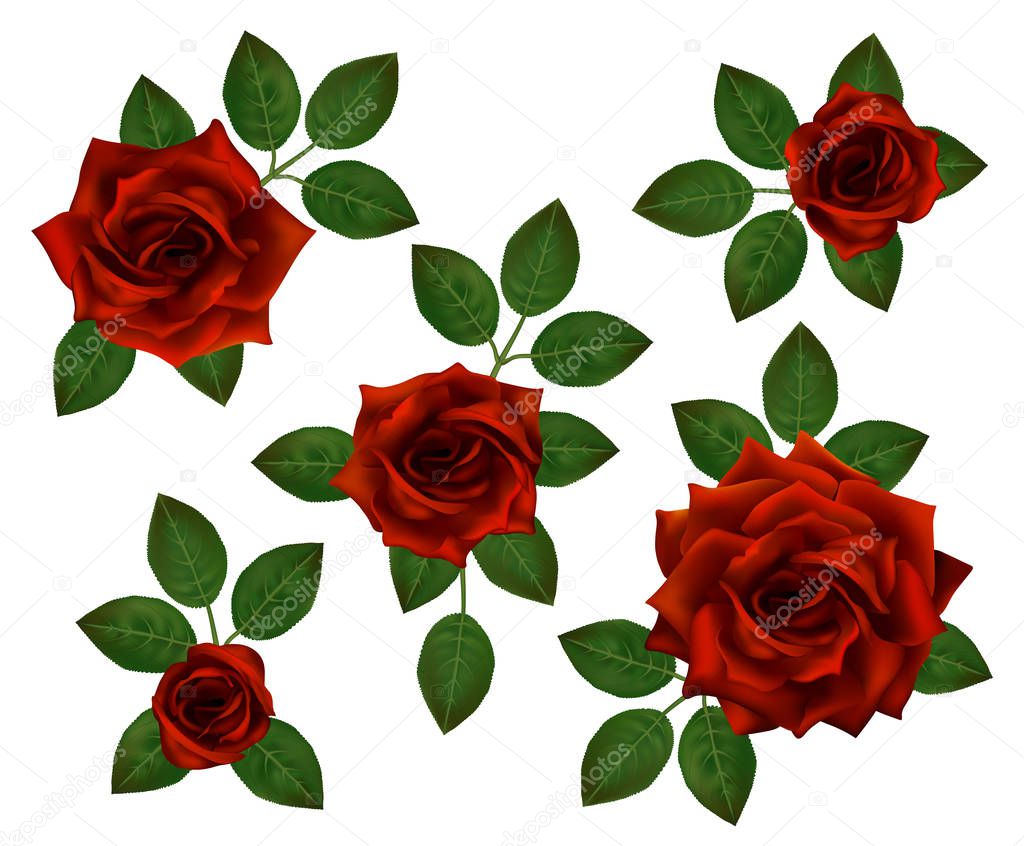 Set of beautiful bouquets with red roses and leaves. Floral arrangement for decoration, perfect for weddimg invitation, birthday, Valentines Day, mother s day.