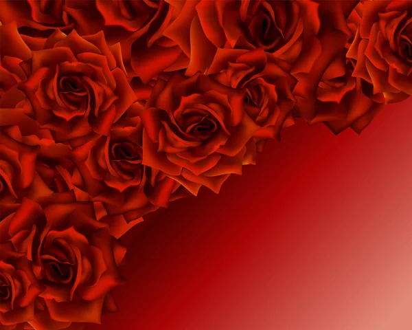 Schöne Romantische Karte Für Valentinstag Oder Hochzeit Rote Rosen Hintergrund — Stockvektor