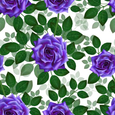 Mavi güller ile Seamless modeli. Güzel gerçekçi çiçek yaprakları ile. Bud, temiz vektör yüksek Detaylı sonuç Photorealixtic gül.