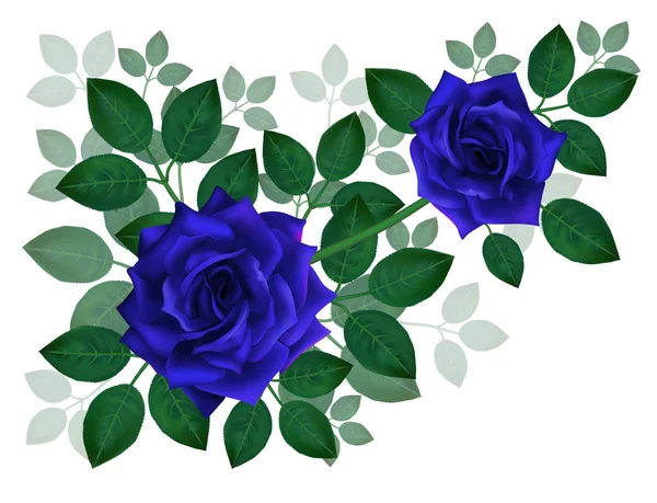 Bouquet Beautiful Blue Roses Leaves Floral Arrangement Decoration Perfect Weddimg — Stock Vector