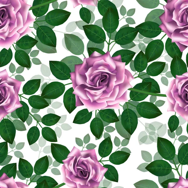 Vzor Bezešvé Růžových Růží Krásné Realistické Květy Listy Photorealixtic Růžové — Stockový vektor