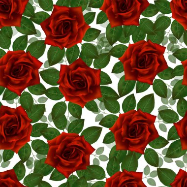 Kırmızı gül ile Seamless modeli. Güzel gerçekçi çiçek yaprakları ile. Bud, temiz vektör yüksek detaylı sonuç Photorealixtic gül .