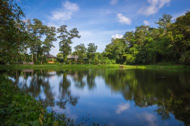 Kathu Phuket ISA koruma alanı çevreleyen yemyeşil yeşil orman ile şelale. Orada needtodo bir bit hiking bu, ancak, doğal ihtişam için değer. 