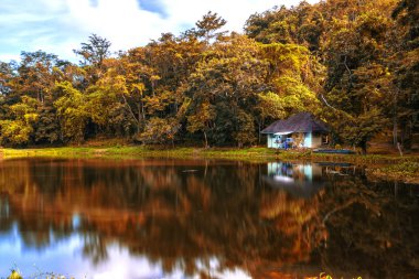 Kathu Phuket ISA koruma alanı çevreleyen yemyeşil yeşil orman ile şelale. Orada needtodo bir bit hiking bu, ancak, doğal ihtişam için değer. 