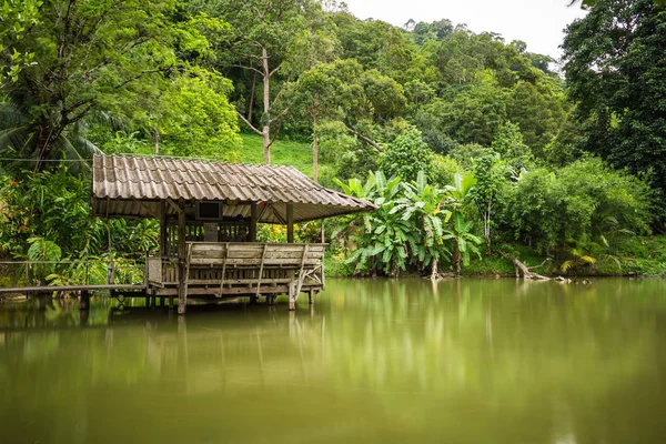 Göl yansıması olan Phuket, Tayland. Bir ayna gibi göl yüzeyine yansıtmak yukarıdaki resimde, manzara çift görüntü.