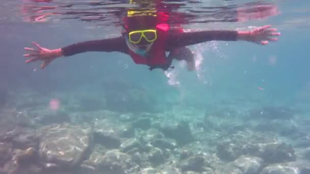 Muhteşem Denizde Şnorkelle Dalış Onun Stark Doğal Güzelliği Ile Kristal — Stok video