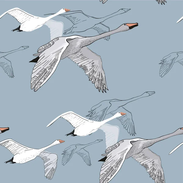 Illustratie van naadloze patroon van het tekenen van zwanen vliegen. Hand getrokken doodle grafisch ontwerp met vogels. Verpakken van papier, behang, achtergrond. — Stockvector