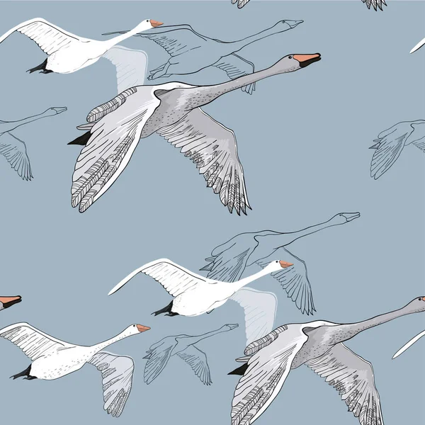 Ilustrasi pola mulus menggambar Flying Swans. Gambar tangan, corat-coret desain grafis dengan burung. Kertas pembungkus, kertas dinding, latar belakang . Stok Vektor Bebas Royalti