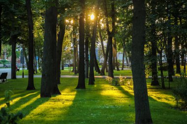 Parlak gün batımı, ufukta batan güneş, güzel manzara.