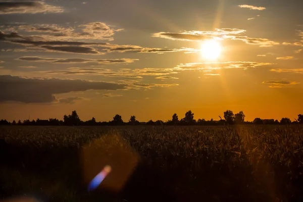 Яскравий Захід Сонця Встановлення Сонця Над Горизонтом Красивий Вид — стокове фото
