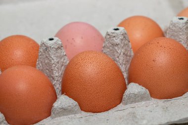 Çevre dostu bir kutuda ev yapımı kahverengi tavuk yumurtası.
