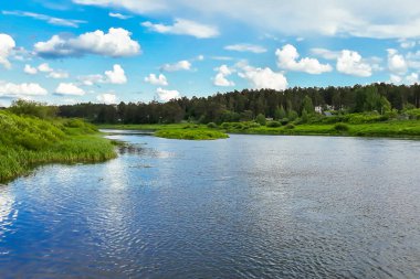 Güneşli bir yaz gününde, yeşil kıyıların arasında güzel bir nehir..