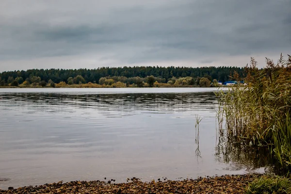 Cold Autumn Lake Cloudy Weather View Gloomy Landscape — Stock Photo, Image