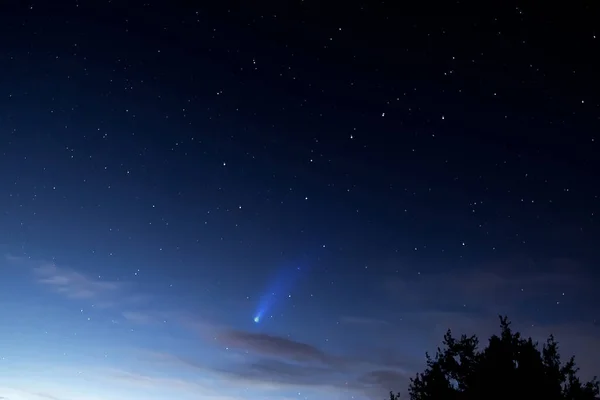 Cometa Neowise Nel Cielo Notturno Astrofotografia Meteora Sfondo Stellato Focus — Foto Stock