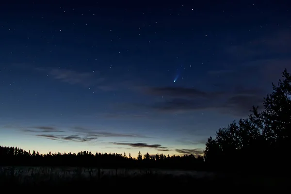 Cometa Neowise 2020 Stelle Nel Cielo Notturno Astrofotografia Vista Meteorite — Foto Stock