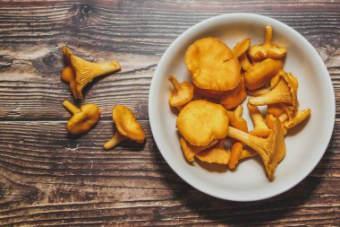 Kahverengi arka planda beyaz bir tabakta orman mantarları. Yeni hasat, üst görünüm.