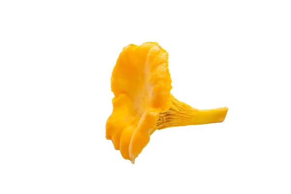 Champiñones Chanterelle Naranja Brillante Sobre Fondo Blanco Hongo Chanterelle Naranja — Foto de Stock