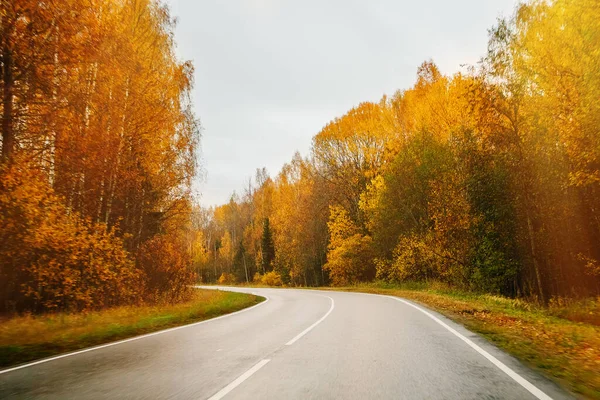 Empty Road Autumn Forest Perspective Beautiful Rainy Landscape — Stock Photo, Image