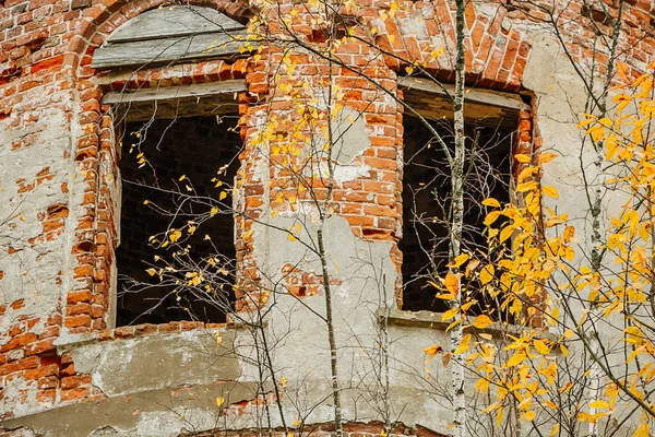 Vecchia Casa Pietra Abbandonata Nella Foresta Autunnale Rovine Antico Edificio — Foto Stock