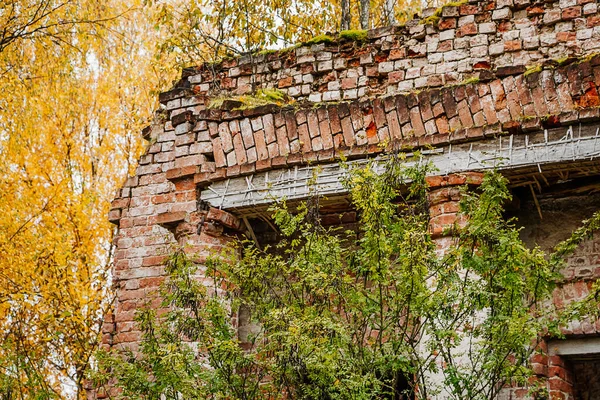 Vecchia Casa Pietra Abbandonata Nella Foresta Autunnale Rovine Antico Edificio — Foto Stock