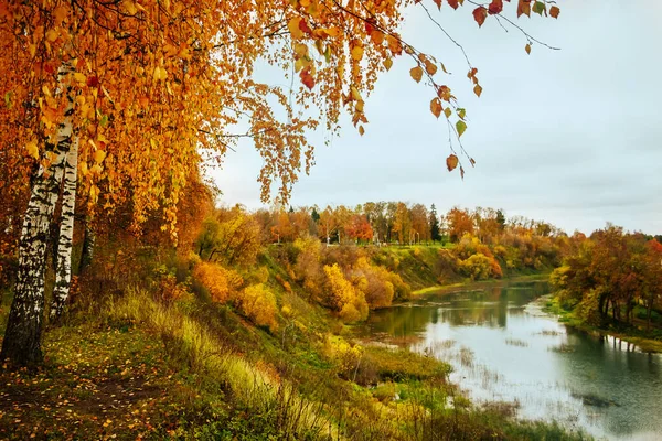 Красивый Осенний Пейзаж Желтые Деревья Реки — стоковое фото