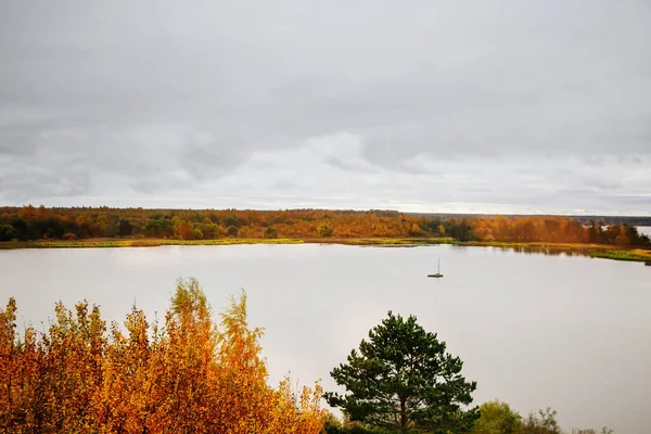 Schöne Herbstlandschaft Gelbe Bäume Fluss — Stockfoto