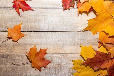 Açık ahşap arka planda sarı ve kırmızı sonbahar yaprakları. Metin için yer