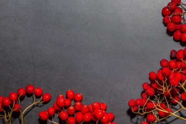 Koyu arkaplanda olgun kırmızı kızılcık çileği çerçevesi. Sonbahar konsepti.