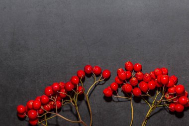 Koyu arkaplanda olgun kırmızı kızılcık çileği çerçevesi. Metin için yer.