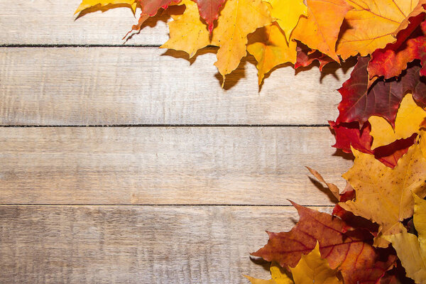 Colorful autumn leaves on a light wooden background.