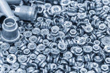 Özel fındık üretim süreci. 