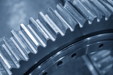 Açık mavi sahnedeki çam kozalaklarının yakın çekimi.. 