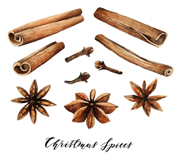 Watercolor Elements Christmas Spices Cinnamon Star Anise Cloves Handmade — Stock Photo, Image