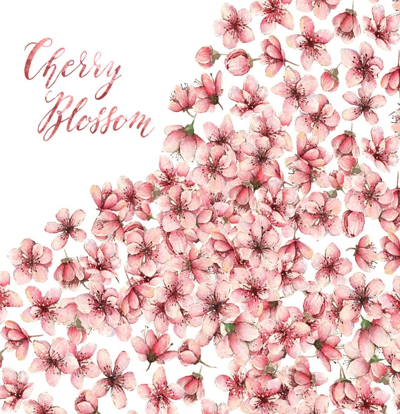 Fleurs Cerisier Aquarelle Illustration Fleurs Printemps Fleurs Carte Pour Vous — Photo
