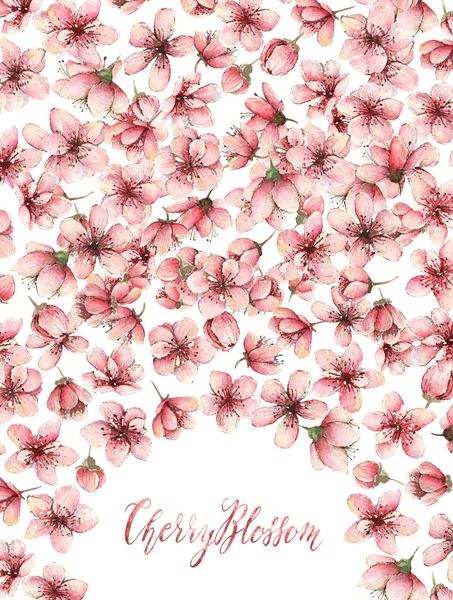 Вишневий Цвіт Акварельна Ілюстрація Весняні Квіти Ручна Робота Листівка Квіти — стокове фото