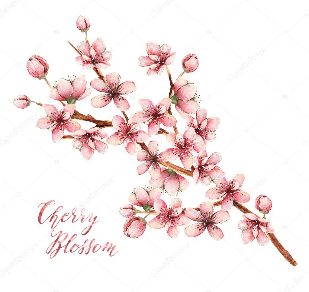 Cherry blossom, watercolor illustration,spring flowers, flowers,card for you,handmade,different elements