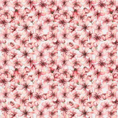 Suluboya Illustration, kiraz çiçeği, bahar çiçekler, tomurcuklar, el yapımı, Dikişsiz desen, ışık arka plan