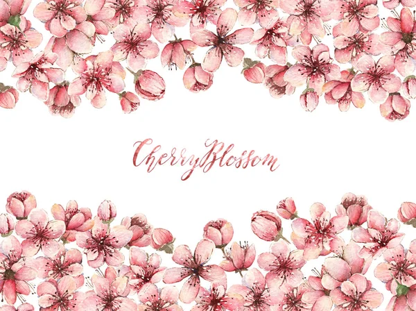 Illust Aquarela Flor Cereja Flores Primavera Botões Cartão Para Você — Fotografia de Stock