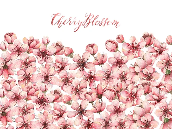 Akvarell Illusztráció Cherry Blossom Virágok Rügyek Tavasz Kártya Számára Kézzel — Stock Fotó