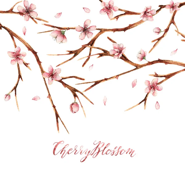 Акварельна Ілюстрація Вишневий Цвіт Весняні Квіти Гілки Квіти Листівка Ручна — стокове фото