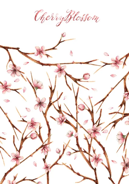 Akvarell Illusztráció Cherry Blossom Tavasz Virágok Szirmok Ágak Kártya Számára — Stock Fotó