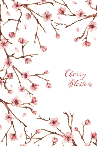 Akvarell Illusztráció Cherry Blossom Tavaszi Virágok Szirmok Rügyek Gallyak Kártya — Stock Fotó