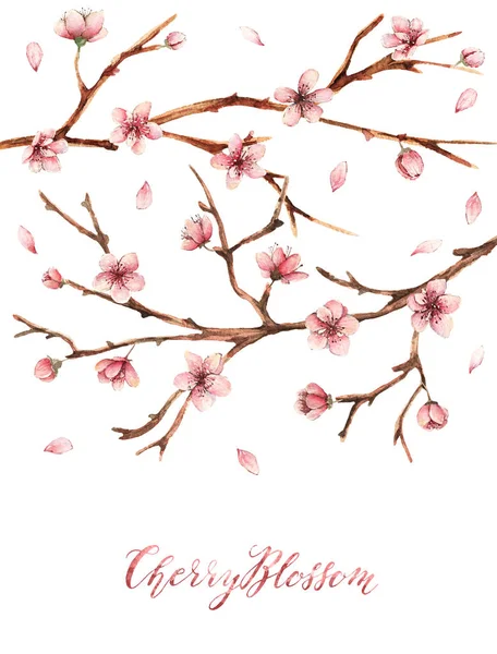 Flor Cerejeira Watercolor Ilustração Primavera Cartão Para Você Feito Mão — Fotografia de Stock