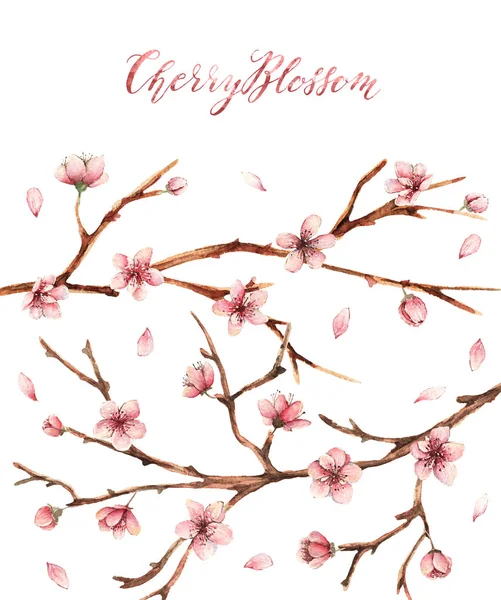 Цвіт Вишні Водяна Ілюстрація Весна Листівка Ручна Робота Квіти Гілки — стокове фото